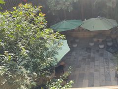 -香满楼(临安路店)