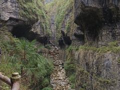 -鹿院坪生态旅游景区