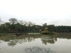 -大湾区中央湿地公园
