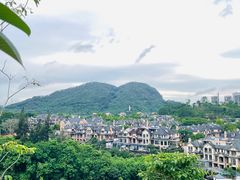 -白石龙音乐公园