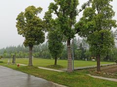 -前小桔亲子创意农场·草莓采摘·露营烧烤