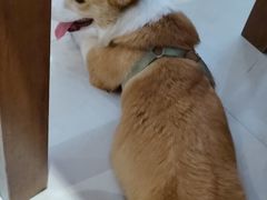 -酸婆娘江湖川菜(紫竹路店)