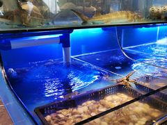 水产区-喜庭海鲜自助(来福士店)