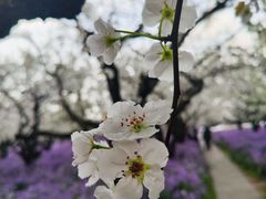 -江苏三台山国家森林公园