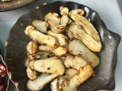 -蘑统田下·野生菌火锅