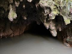 -怀托摩萤火虫洞