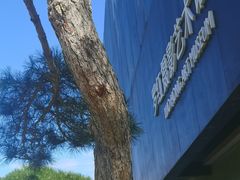 -罗红摄影艺术馆