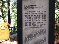 -广州市石门国家森林公园