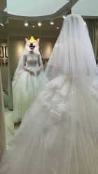 -Color卡诺婚纱礼服馆(南京严选店)