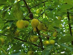 -幕燕滨江·长江观音景区