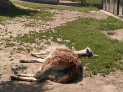 -西安秦岭野生动物园