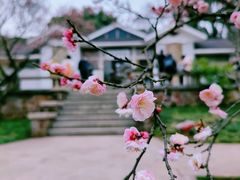 -无锡梅园公园