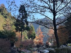 -刘伯温故里景区百丈漈