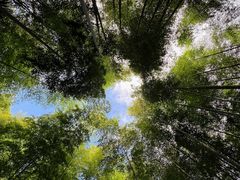 -黄公望隐居地
