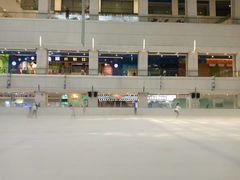 -炫采冰场(红博中央公园商场店)