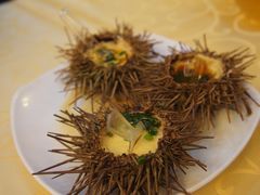 海胆蒸蛋-海岛渔村大酒店(云霄路店)