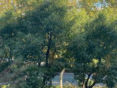 -威尔仕W FITNESS健身会所(联洋广场店)