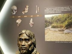 -广西壮族自治区博物馆