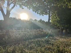 -北京市海淀外国语实验学校