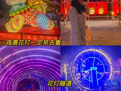 -茯茶镇