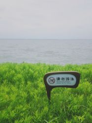 -水八仙生态园