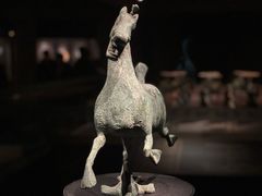 -甘肃省博物馆