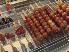 -和禄德冰糖葫芦(东四朝内菜市场店)