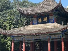 -西安碑林博物馆