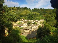 -杨家堂村