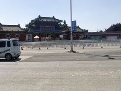 -曹州牡丹园