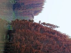 -桤木河湿地公园