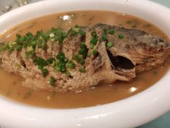 煎烧黄河大鲤鱼-东华大酒楼(主楼店)