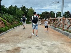 -西霞口神雕山野生动物世界