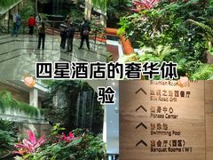 -广州白天鹅宾馆