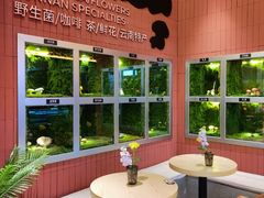 -芸山季·云南野生菌火锅(宝能环球汇店)
