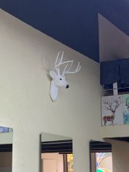 点击看大图 -米路造型MILU STUDIO