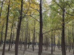 -汉景帝阳陵博物院