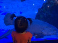 -成都浩海立方海洋公园