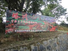 -塔川景区