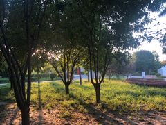 -北京园博大酒店