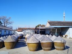 -苏州市吴中区光福窑上花果蜜饯厂