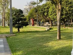 -洋湖国家湿地公园