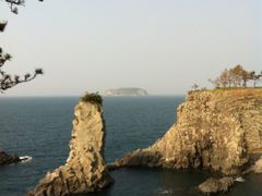 -涉地可支