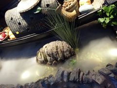 -兰木肆·云南菜(龙湖U城天街店)