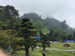 -缙云山景区