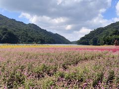 -广州市石门国家森林公园
