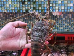 -巽寮印象美食部落餐厅·海鲜·地方特色菜(惠州体验店)