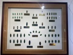 -上海昆虫博物馆