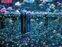 -深圳独角兽星空艺术馆