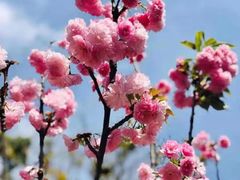 -观澜湖生态运动公社